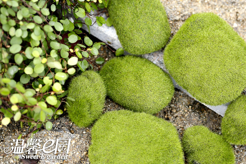 Simulation Moss Moss Stone Flocking Stone Moss Lawn Micro Landscape Ornaments Decorative Simulation Fake Stone