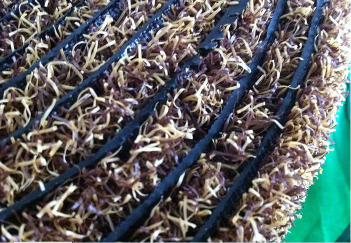 New simulate flower four-leaved clover lawn grass ball grass straw simulate lawn wholesale New simulate flower four-leaved clover lawn grass ball grass straw simulate lawn wholesale