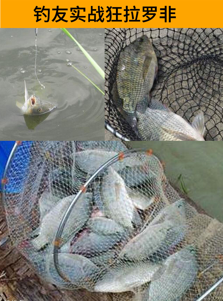 God Of War Frozen Bait Wild Fishing Luofei Material Main Attack Fly River Scattered Cannon Lucky Life Package Fishing Fishing Gear Supplies God Of War Frozen Bait Wild Fishing Luofei Material Main Attack Fly River Scattered Cannon Lucky Life Package Fishing Fishing Gear Supplies