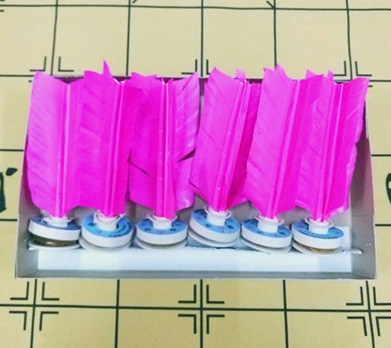 Xinjian Brand Taicang 306 Shuttlecock Taicang Shuttlecock Student Shuttlecock Competition Training Shuttlecock White Pink