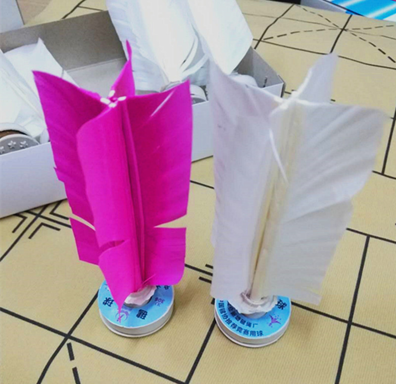 Xinjian Brand Taicang 306 Shuttlecock Taicang Shuttlecock Student Shuttlecock Competition Training Shuttlecock White Pink