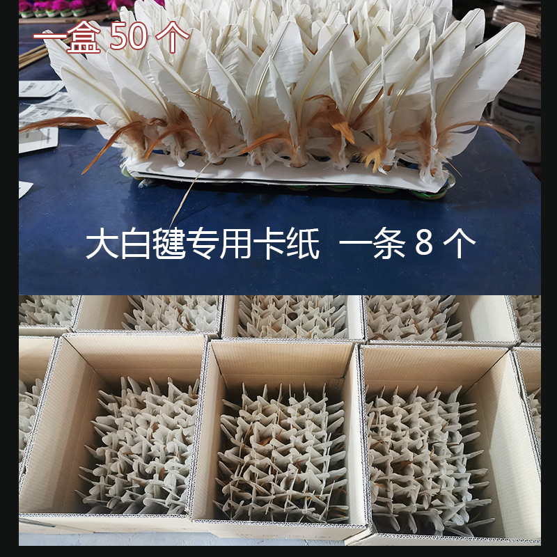 Shuttlecock Wholesale Dire Shuttlecock Children Primary School Students Adult Competition White Goose Feather Sporting Goods Fitness Exercise Shuttlecock