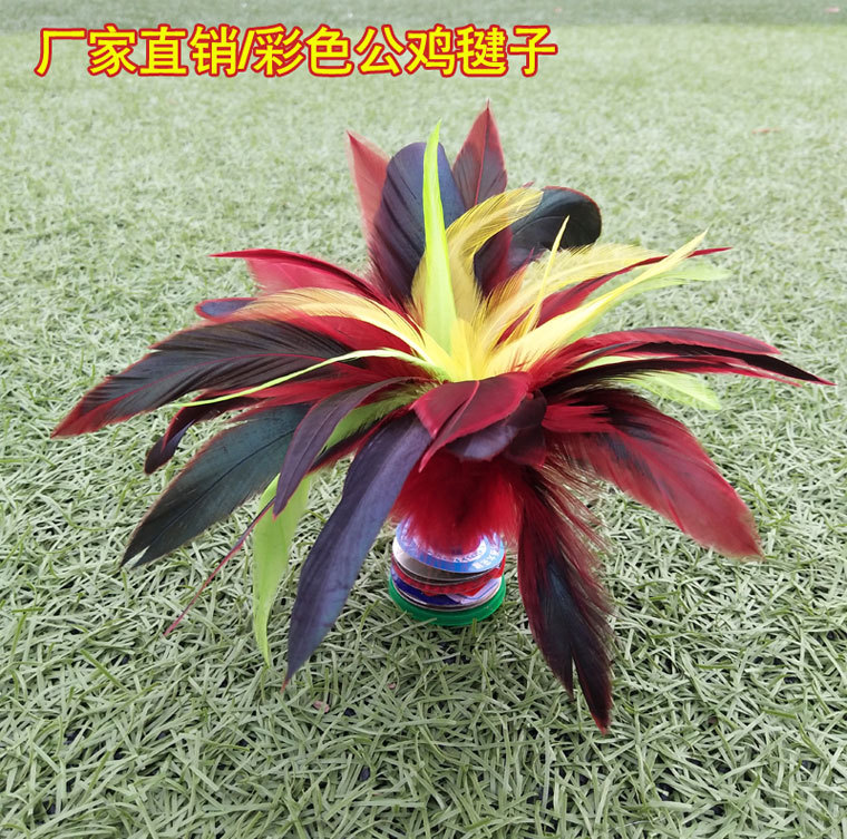Shuttlecock Wholesale Dire Shuttlecock Children Primary School Students Adult Competition White Goose Feather Sporting Goods Fitness Exercise Shuttlecock