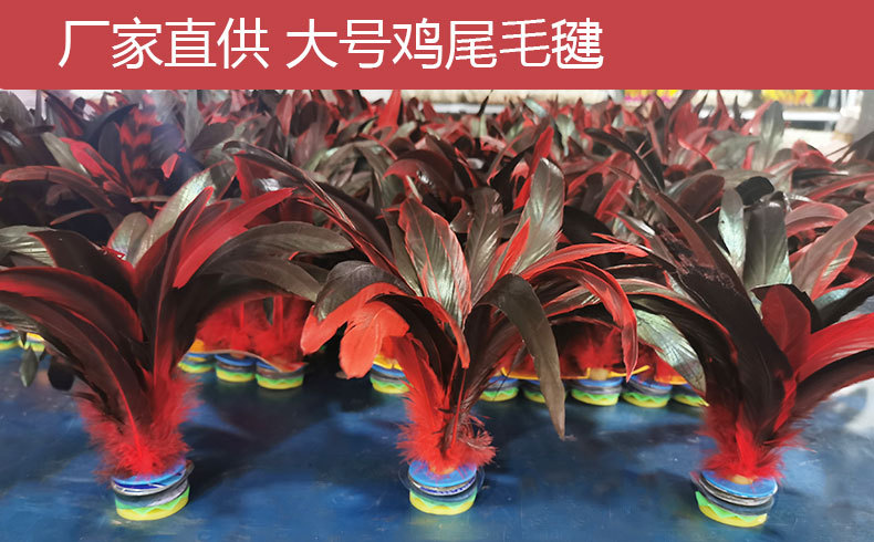 Shuttlecock Wholesale Dire Shuttlecock Children Primary School Students Adult Competition White Goose Feather Sporting Goods Fitness Exercise Shuttlecock