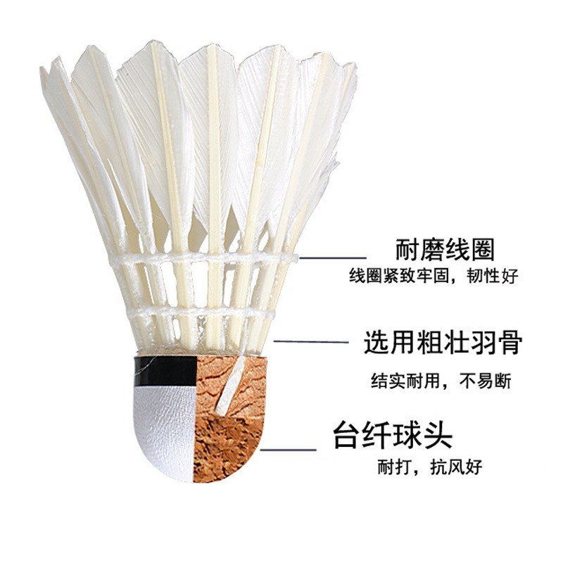 Regail Authentic Badminton Durable Training Shuttlecock Cork 6 PCs 12 PCs Pack Durable Nylon Badminton