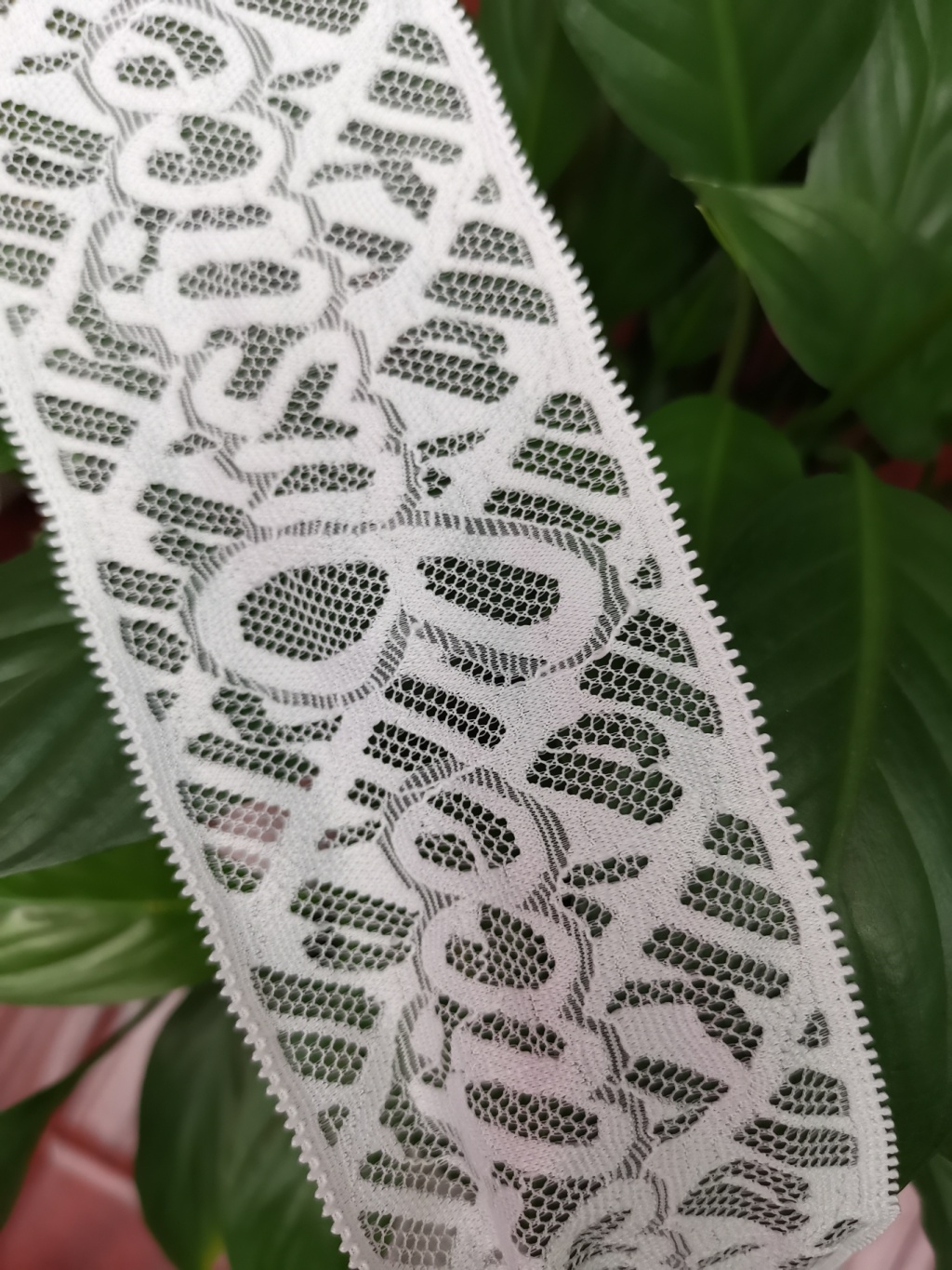 New Cuff Lace Underwear Lace Clothing Accessories