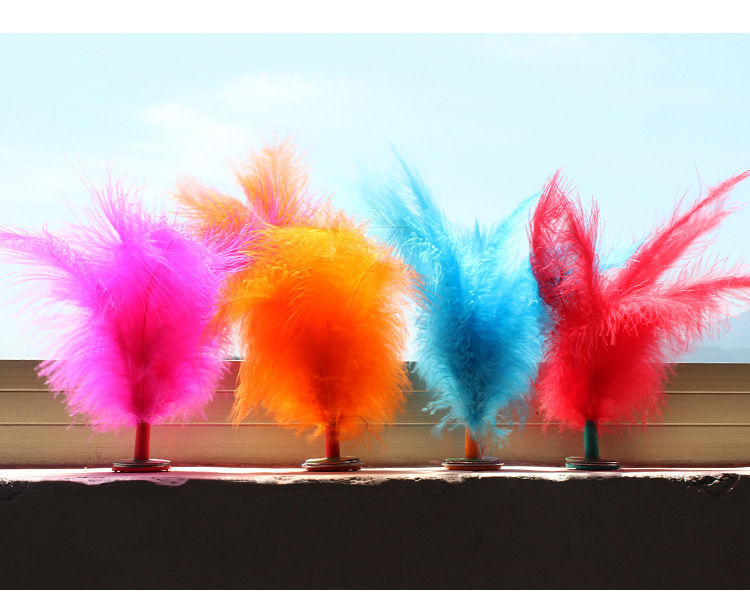 Shuttlecock Children Primary School Adult Kick Shuttlecock Shuttlecock Fitness Wholesale Turkey Feather Shuttlecock Kick Shuttlecock Shuttlecock Schoolgirl Girl Sports Free Shipping