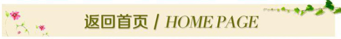Double - face anti - slip elastic tape manufacturer direct sale.