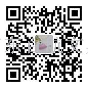 Good quality igle correction fluid 7ML correction liquid steel head