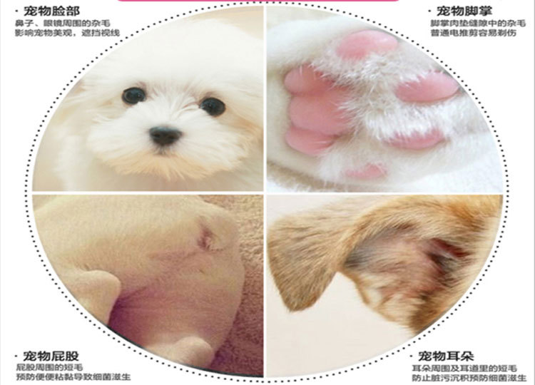 Mini pet foot shaver manicure teddy dog and cat foot shaver clipper partial electric clipper Mini pet foot shaver manicure teddy dog and cat foot shaver clipper partial electric clipper