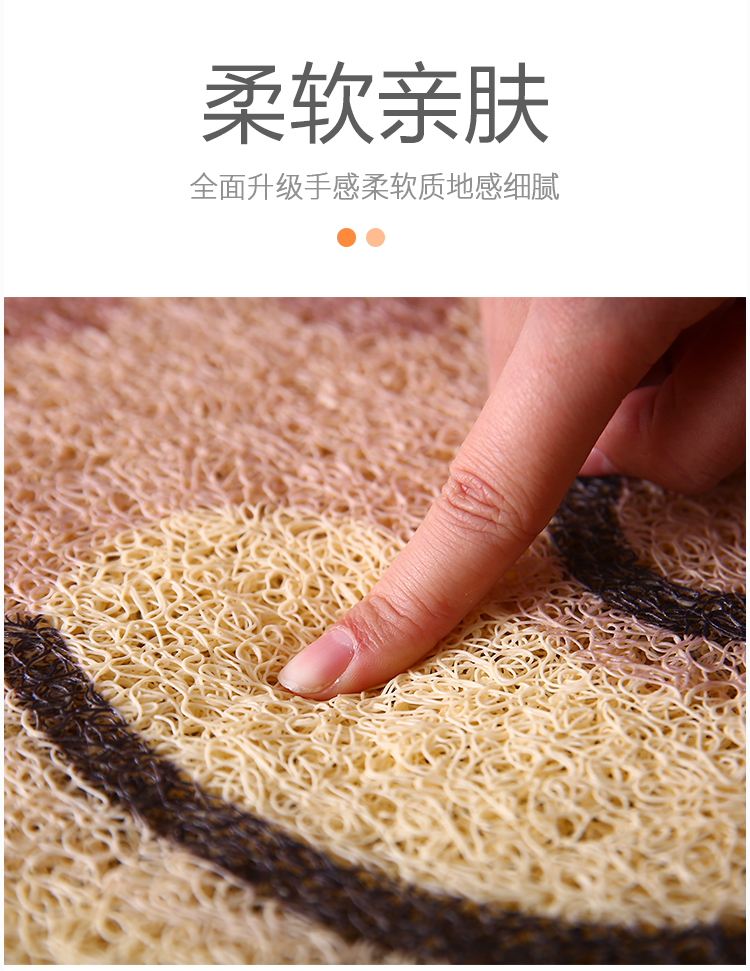 Thickened PVC Loop Floor Mat Plastic Non-Slip Waterproof Carpet for Household Entrance Foot Mat Entry Door Thickened PVC Loop Floor Mat Plastic Non-Slip Waterproof Carpet for Household Entrance Foot Mat Entry Door