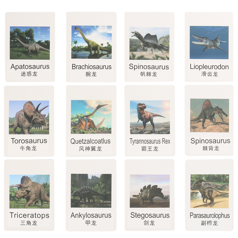 Early Childhood Education Toys Dinosaur Marine Animal Sand Table Scene Science and Education Cognitive Model Matching Recognition Study Card
