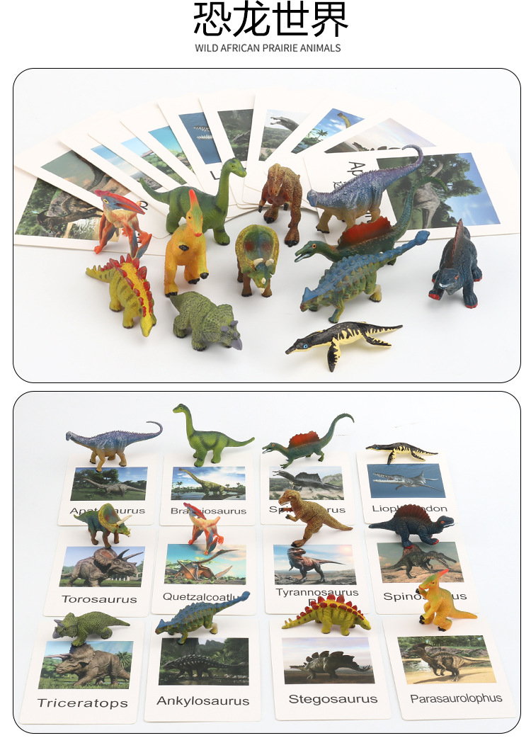 Early Childhood Education Toys Dinosaur Marine Animal Sand Table Scene Science and Education Cognitive Model Matching Recognition Study Card
