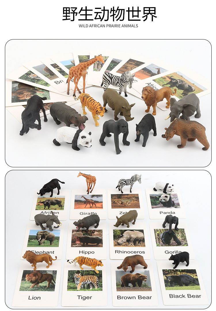 Early Childhood Education Toys Dinosaur Marine Animal Sand Table Scene Science and Education Cognitive Model Matching Recognition Study Card