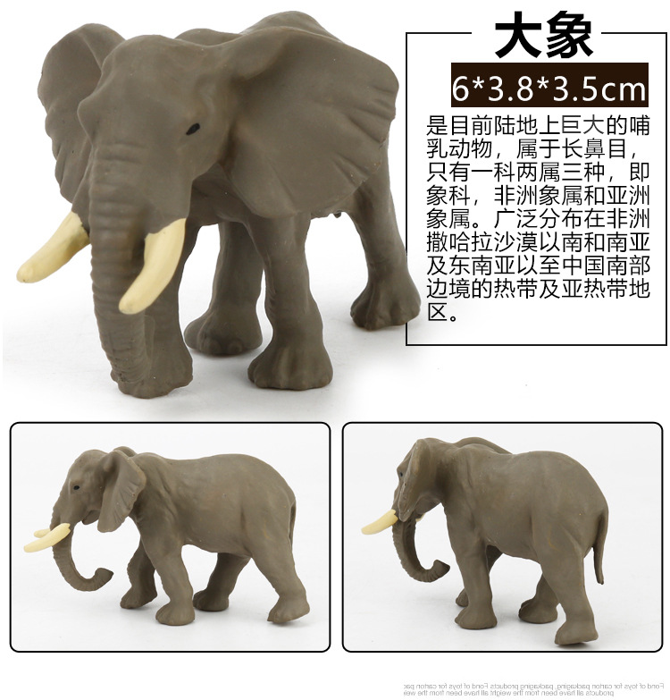Early Childhood Education Toys Dinosaur Marine Animal Sand Table Scene Science and Education Cognitive Model Matching Recognition Study Card