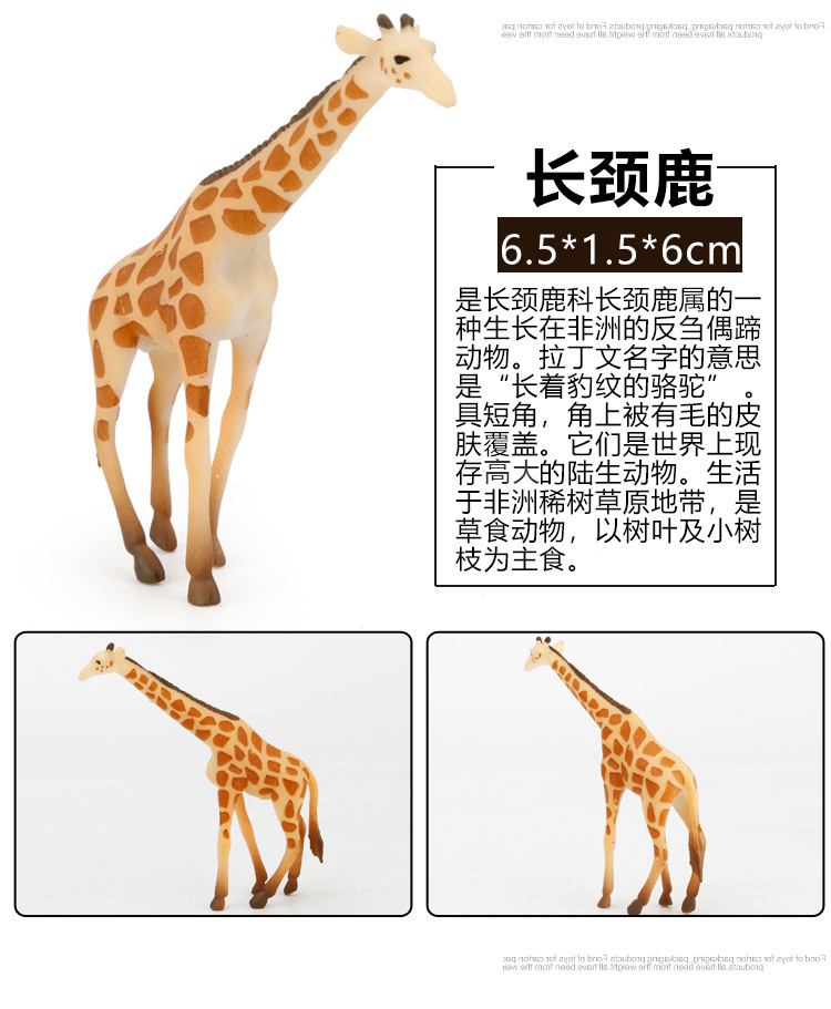 Early Childhood Education Toys Dinosaur Marine Animal Sand Table Scene Science and Education Cognitive Model Matching Recognition Study Card