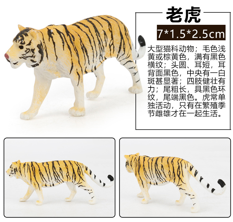 Early Childhood Education Toys Dinosaur Marine Animal Sand Table Scene Science and Education Cognitive Model Matching Recognition Study Card
