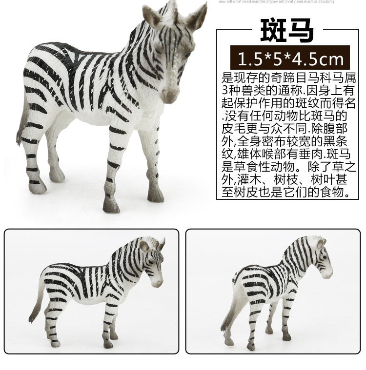 Early Childhood Education Toys Dinosaur Marine Animal Sand Table Scene Science and Education Cognitive Model Matching Recognition Study Card