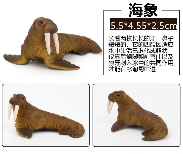 Early Childhood Education Toys Dinosaur Marine Animal Sand Table Scene Science and Education Cognitive Model Matching Recognition Study Card