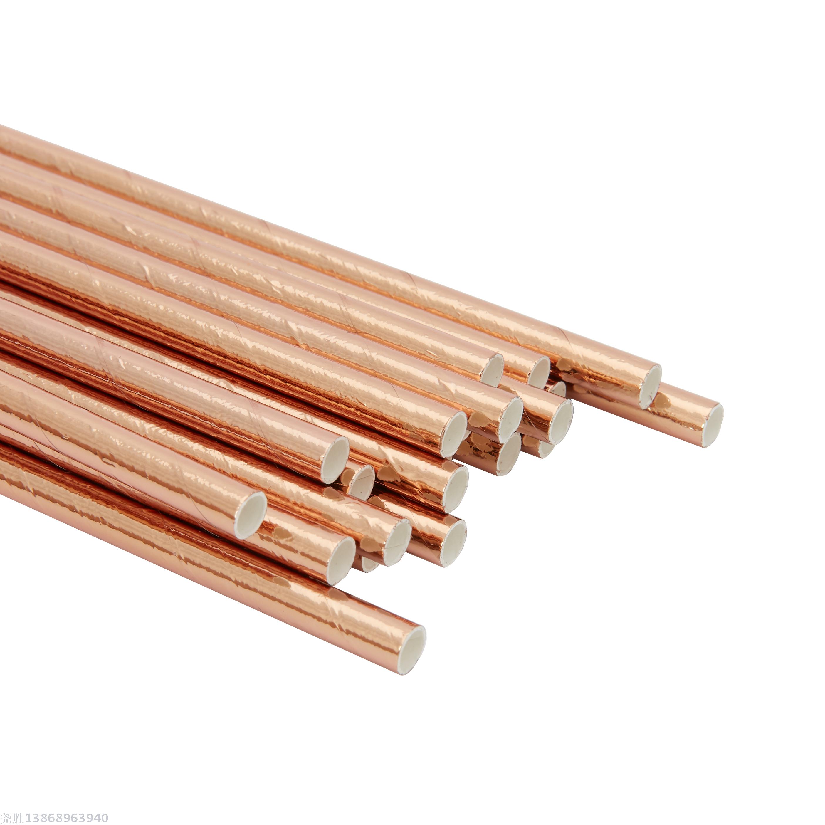 Eco-Friendly Rose Gold Disposable Tableware Set for Birthday Decorations