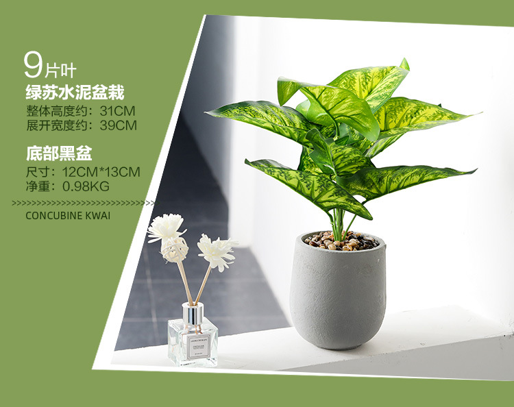 Imitative Tree Plants Green Plants Potted Indoor Living Room Large Artificial Bonsai Floor Ornaments Bird of Paradise Simulation Ravenala Imitative Tree Plants Green Plants Potted Indoor Living Room Large Artificial Bonsai Floor Ornaments Bird of Paradise Simulation Ravenala