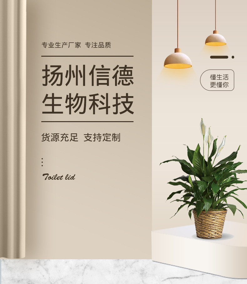 Homestay Hotel Hotel Disposable Washing Set Travel Product Toothpaste Toothbrush Comb Shower Cap Slippers Soap Homestay Hotel Hotel Disposable Washing Set Travel Product Toothpaste Toothbrush Comb Shower Cap Slippers Soap