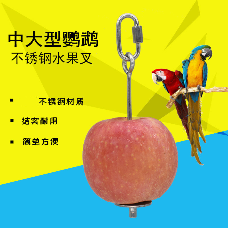 Parrot Stainless Steel Fruit Fork Parrot Stand Bird Cage Accessory Hook Foraging Toy Parrot Supplies Bird Utensils