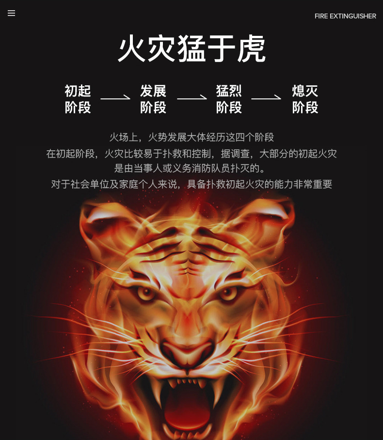 WaterBased Fire Extinguisher Car Home Car Portable WaterBased Agent Fire Equipment Can Pass the Annual Inspection WaterBased Fire Extinguisher Car Home Car Portable WaterBased Agent Fire Equipment Can Pass the Annual Inspection