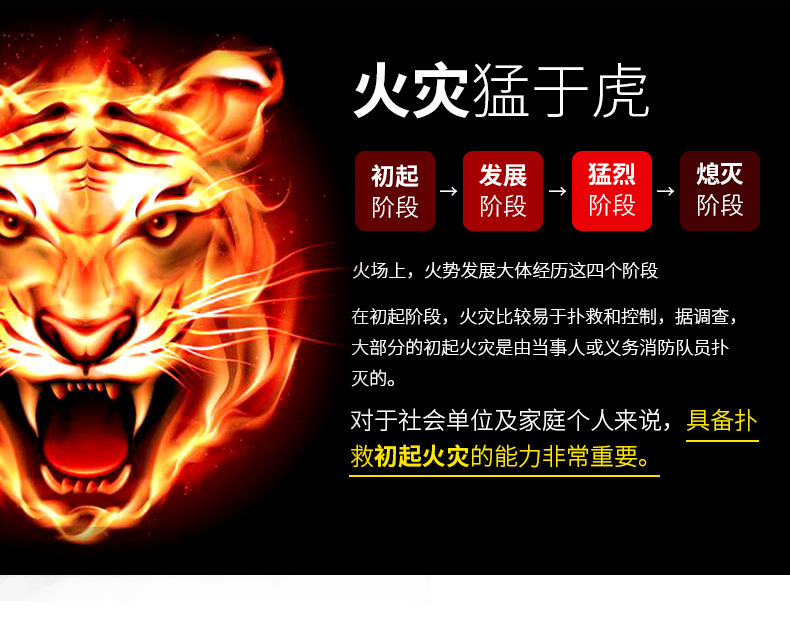 Upgrade 13B Car Fire Extinguisher Water-Based Fire Extinguisher Small Portable Car Home Kitchen Fire Equipment Wholesale