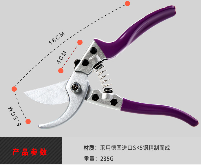 Durable Stainless Steel Pruning Shears Garden Tools Pruning Flower Branches and Fruit Tree Shears Cutter Grape Leaf Bud Repair Scissors Wholesale Durable Stainless Steel Pruning Shears Garden Tools Pruning Flower Branches and Fruit Tree Shears Cutter Grape Leaf Bud Repair Scissors Wholesale