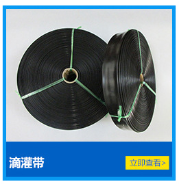 Water-Saving Irrigation Equipment Manufacturers Supply Drip Irrigation Pipe Fittings Plastic Rotation Sprayer G Type Micro Sprinkler Park Spray Nozzle