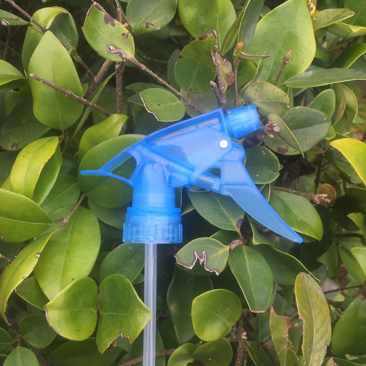 A Gun Hand Buckle Disinfectant Fluid Sprayer Nozzle Watering Plastic Water Spray Sprinkling Can Oil Spray Pot Atomization Sprinkling Can Head A Gun Hand Buckle Disinfectant Fluid Sprayer Nozzle Watering Plastic Water Spray Sprinkling Can Oil Spray Pot Atomization Sprinkling Can Head