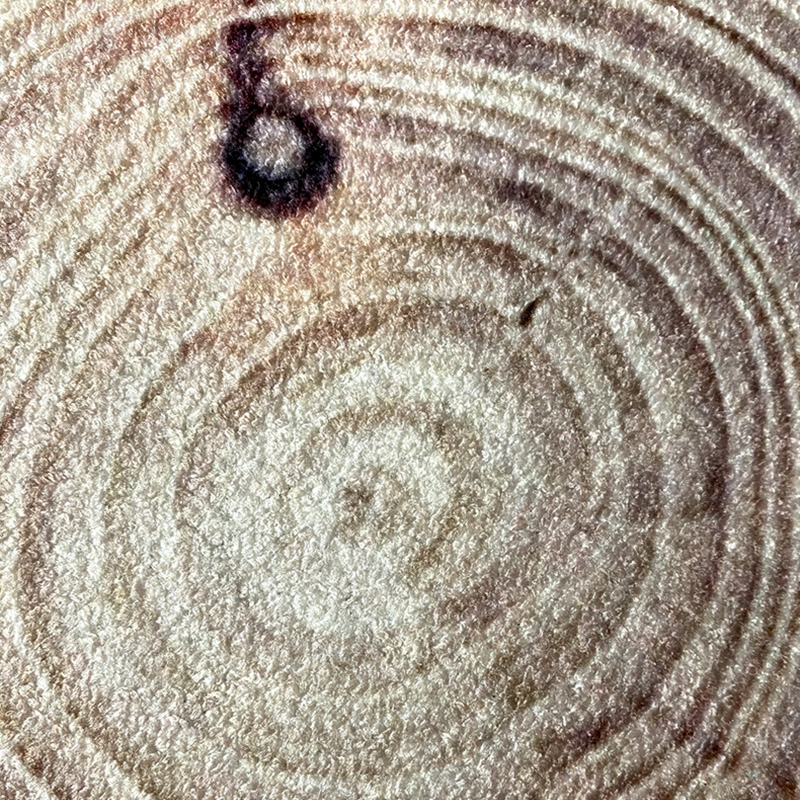 Nordic Style round Carpet Wood Grain Annual Ring Personality Creative Coffee Table Bedroom Computer Chair Non-Slip Mat Material Selection