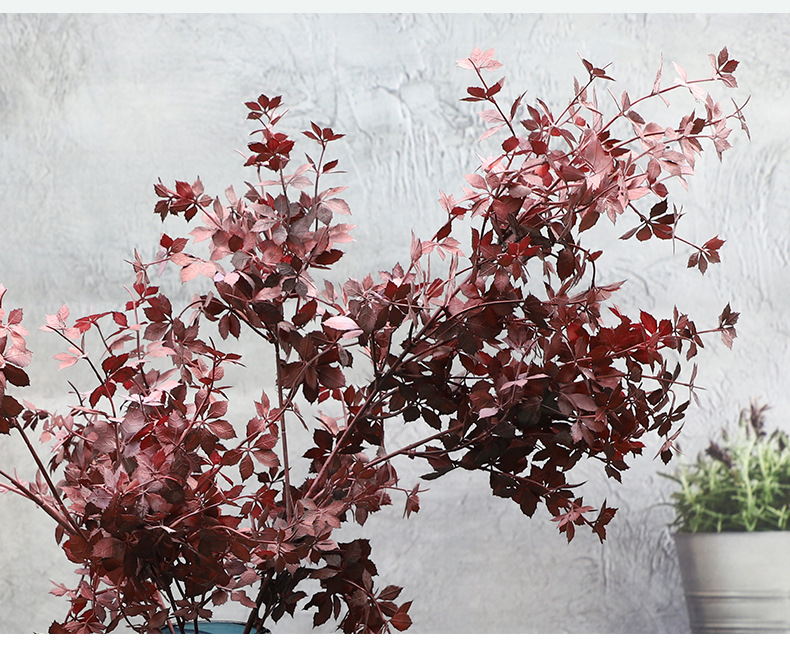 Simulation Single Stem Maple Leaf Home Decorative Fake Flower Wedding Simulation Plant Ceiling Road Lead Artificial Flower Factory Wholesale Simulation Single Stem Maple Leaf Home Decorative Fake Flower Wedding Simulation Plant Ceiling Road Lead Artificial Flower Factory Wholesale