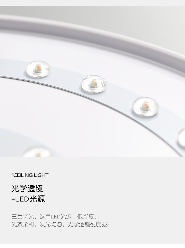 Flower-Shaped Acrylic Creative Bedroom Lamp in the Living Room Nordic Modern Minimalist Led Household Study Lamp Ceiling Lamp Manufacturer