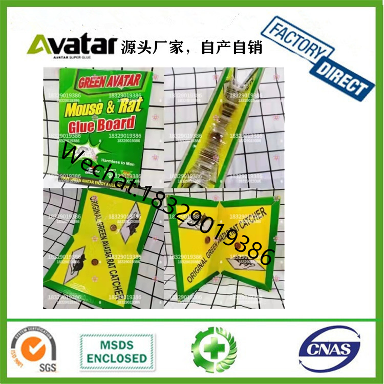 Green Live Kraft Paper Fly Paper Sticky Fly Glue Fly Sticky Plate Paste off Poison to Kill Flies