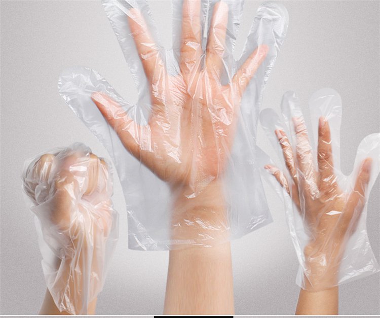 Camellia 3501 Disposable Gloves Thickened Transparent Clean Food Sanitary Transparent Removable Gloves 100 Pieces Camellia 3501 Disposable Gloves Thickened Transparent Clean Food Sanitary Transparent Removable Gloves 100 Pieces