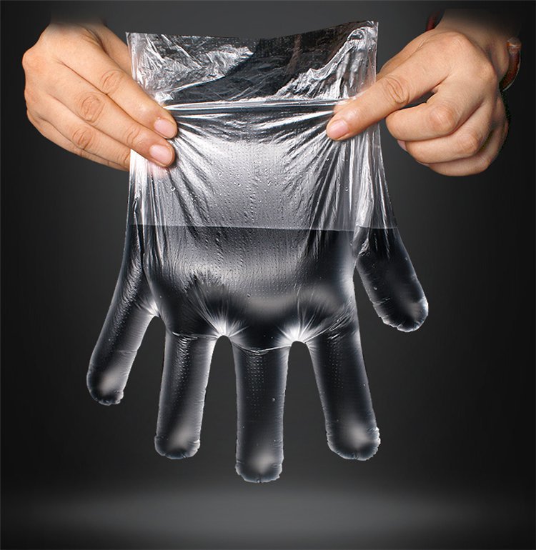 Camellia 3501 Disposable Gloves Thickened Transparent Clean Food Sanitary Transparent Removable Gloves 100 Pieces Camellia 3501 Disposable Gloves Thickened Transparent Clean Food Sanitary Transparent Removable Gloves 100 Pieces