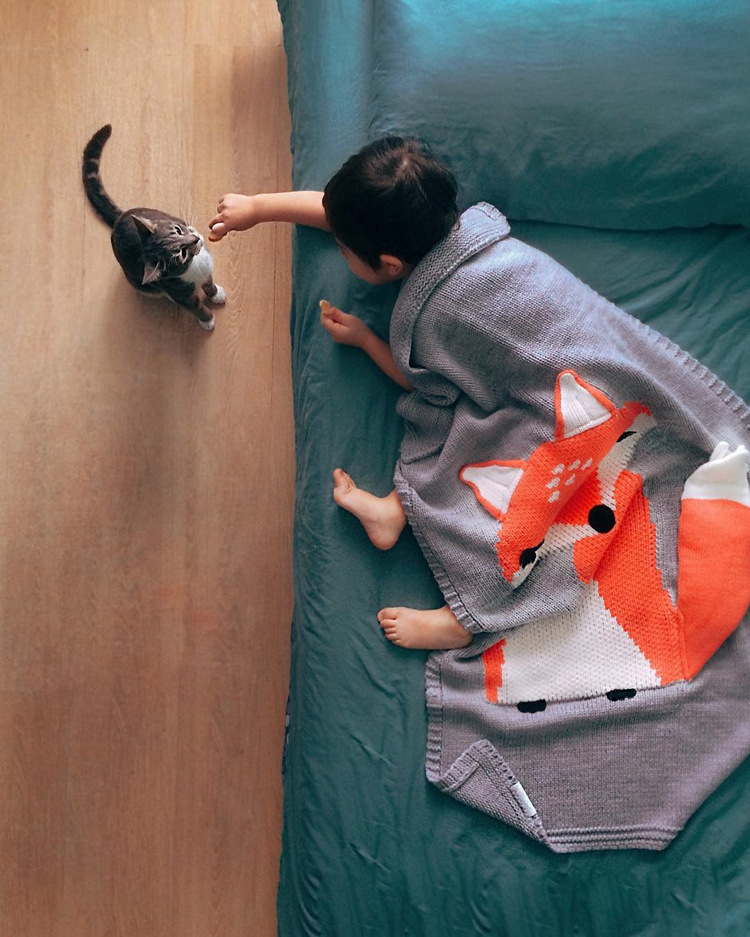 INS Pop Fox Blanket Stereo Ear Blanket Children Knitted Blanket Beach Mat Baby Baby Blanket