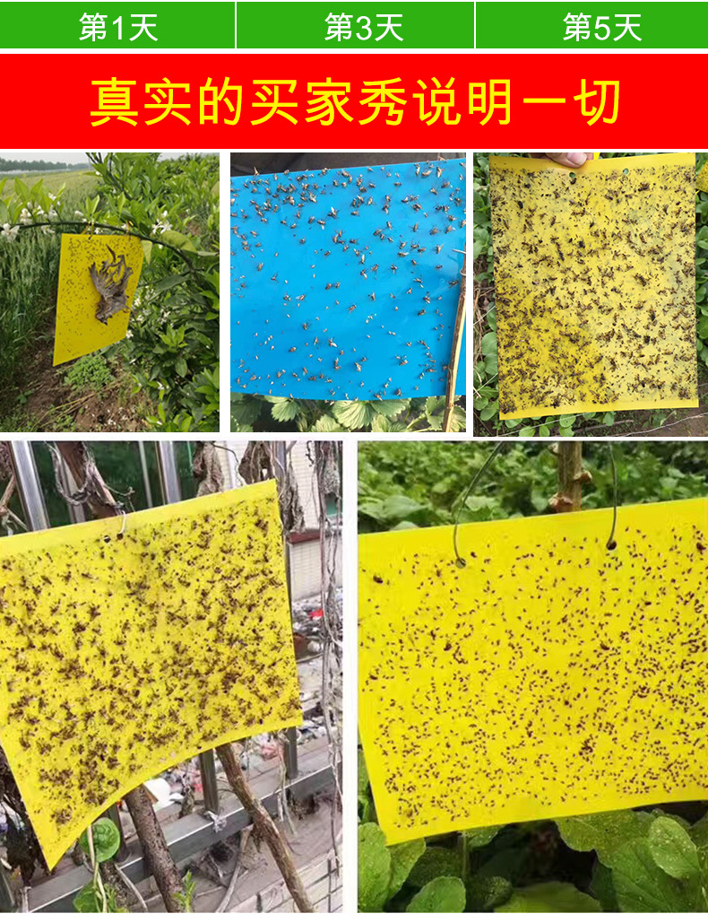 Yellow Sticky Trap Sticky Insect Ball Lantern Insect Trap Stick Fly Viscose Board Lure Fly Insect Ball
