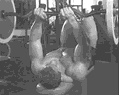 Abdominal strengthening board Supine board sit-up board Abdominal muscle board exercise and fitness equipment Home 82166 Abdominal strengthening board Supine board sit-up board Abdominal muscle board exercise and fitness equipment Home 82166