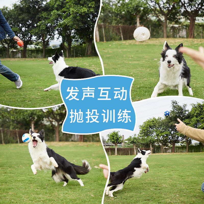 Direct Selling Internet Hot Dog Toy Latex Rugby Tennis Dog Bite Vocal Ball Pet Toy