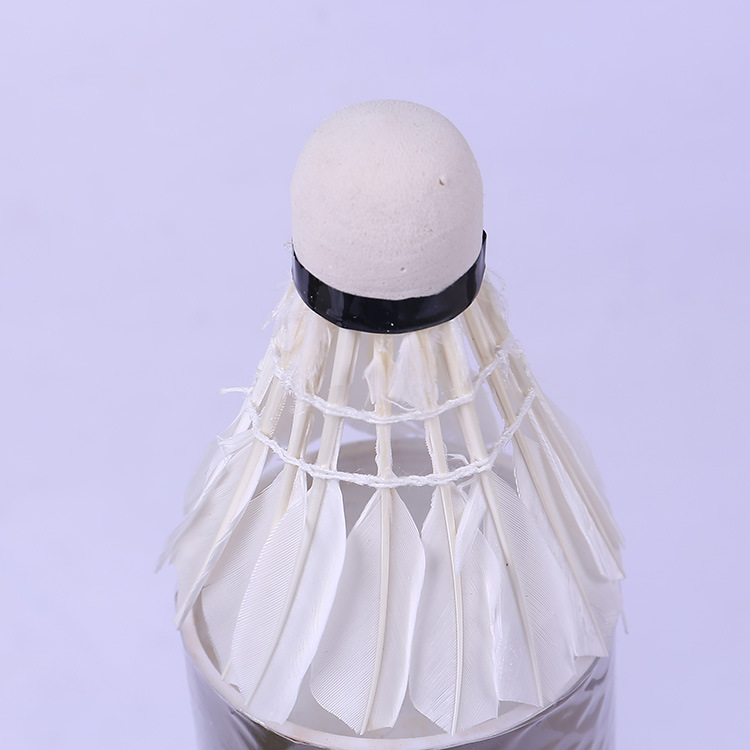 Wholesale 12 cartridges with quality training in badminton