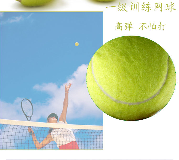 6. 5cm High Elastic Bite Resistant Hitting Tennis Pet Dog Toy Training Tennis Manufacturer Amazon Sources 6. 5cm High Elastic Bite Resistant Hitting Tennis Pet Dog Toy Training Tennis Manufacturer Amazon Sources