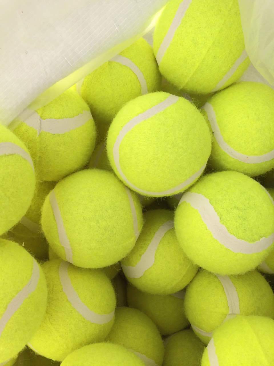 Tennis Manufacturers Supply Level 1 Practice Tennis 1 M Elastic Training Tennis Match Training Chemical Fiber Tennis