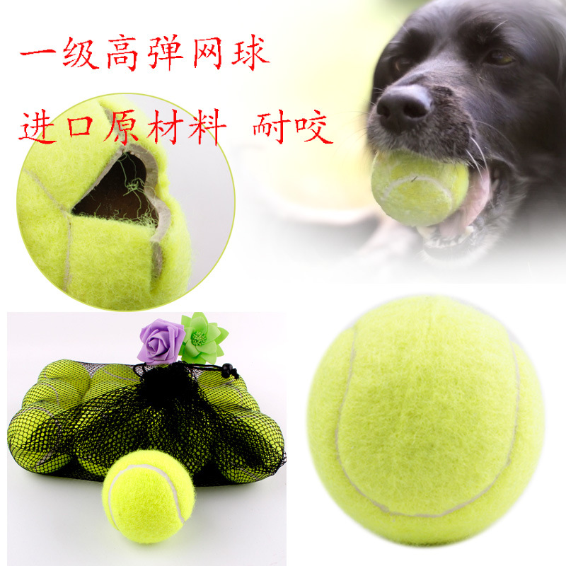 Level 6.5 Ultra-Stretch Resistance Bite Resistance Hit Tennis Dog Toy Tennis Training Factory Amazon Supply