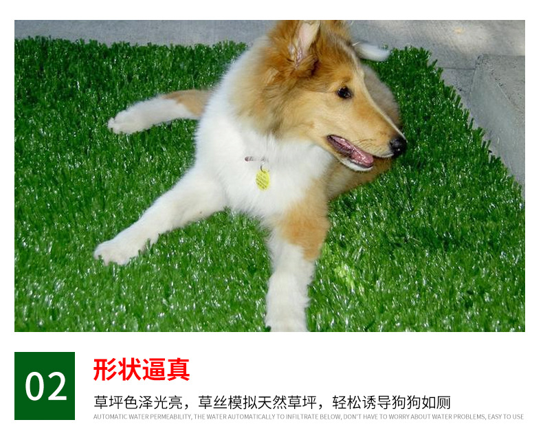 Pet Toilet Training Lawn Dog Toilet Urine Pad Simulation Artificial Pet Lawn Mat Dog Toilet Lawn Factory Pet Toilet Training Lawn Dog Toilet Urine Pad Simulation Artificial Pet Lawn Mat Dog Toilet Lawn Factory