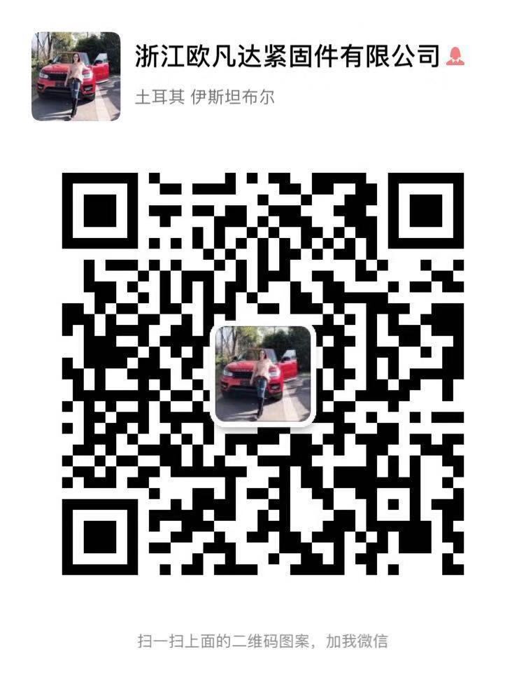 ZOF Factory Direct Sales All Kinds of Fasteners Screw Bolt Nut Gasket Nail Strip ZOF Factory Direct Sales All Kinds of Fasteners Screw Bolt Nut Gasket Nail Strip