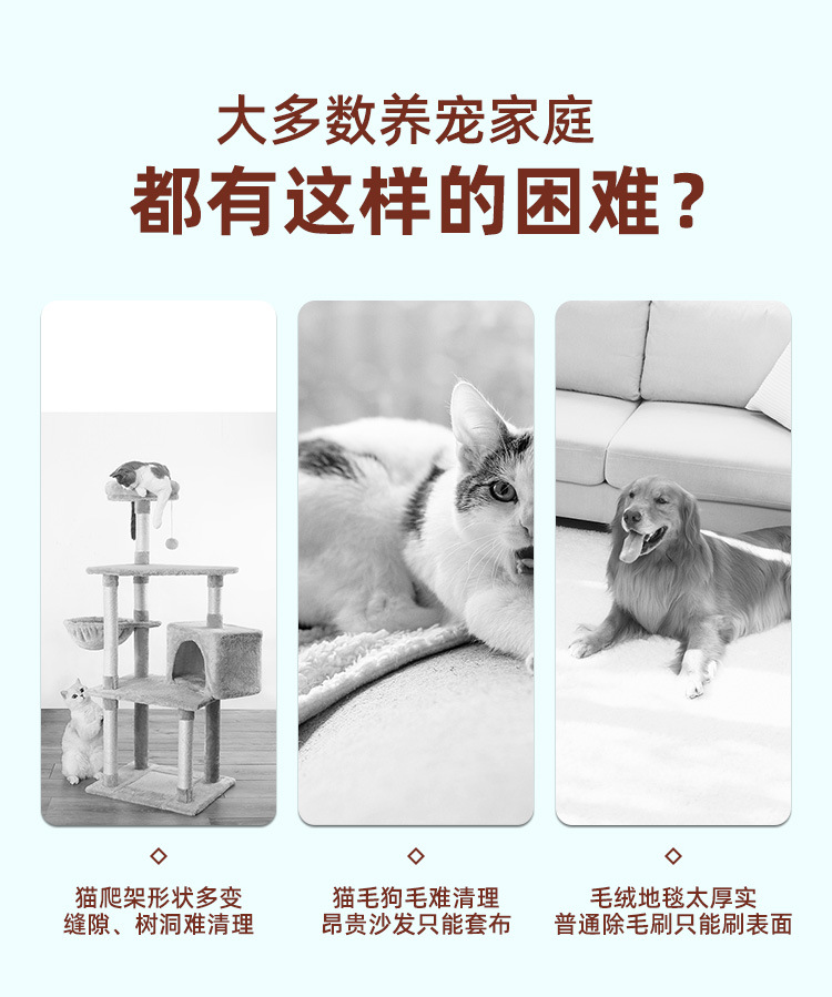 Cross-Border E-Commerce New Multi-Purpose Car Cleaning Silicone Pet Shaver Car Window Glass Defogging Wiper