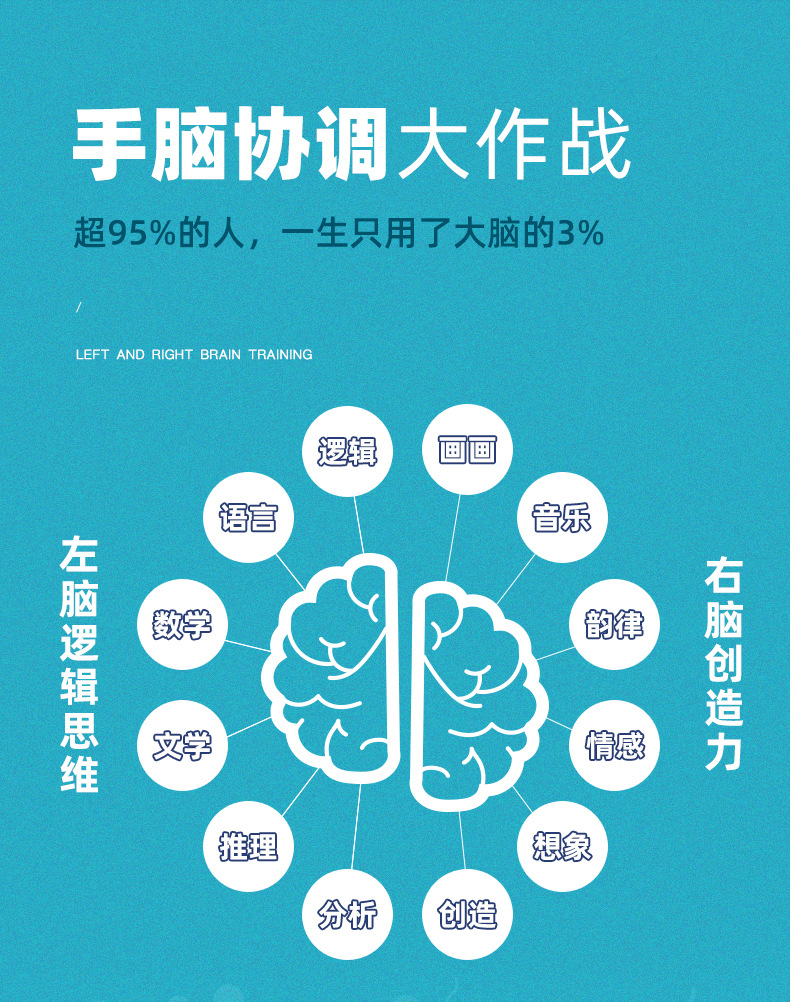 Saalin Shalin Left and Right Brain Fine Motor Training Toy Children's Whole Brain Mental Concentration Development Teaching Aids Saalin Shalin Left and Right Brain Fine Motor Training Toy Children's Whole Brain Mental Concentration Development Teaching Aids